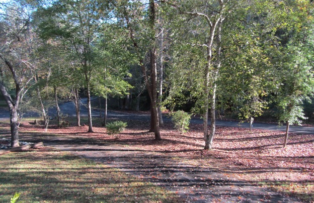 View property gallery image 4