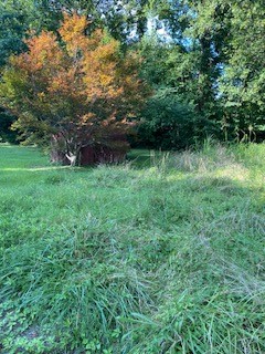 Property image 5 / 13