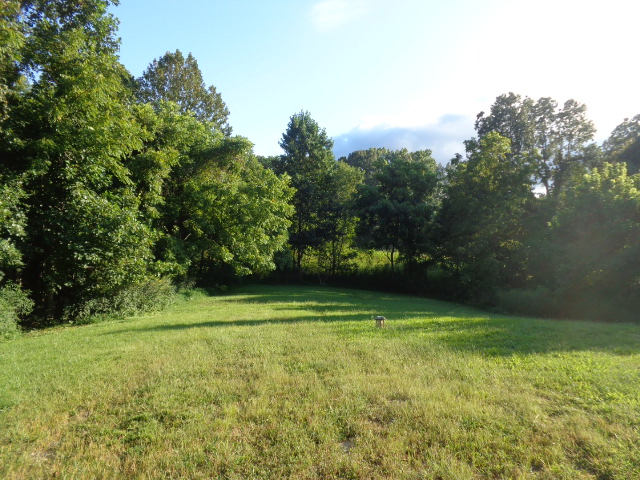 View property gallery image 3