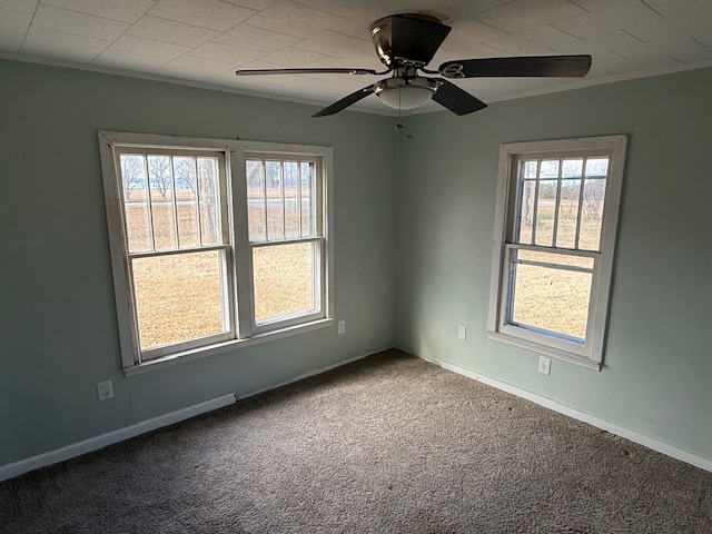 View property gallery image 4