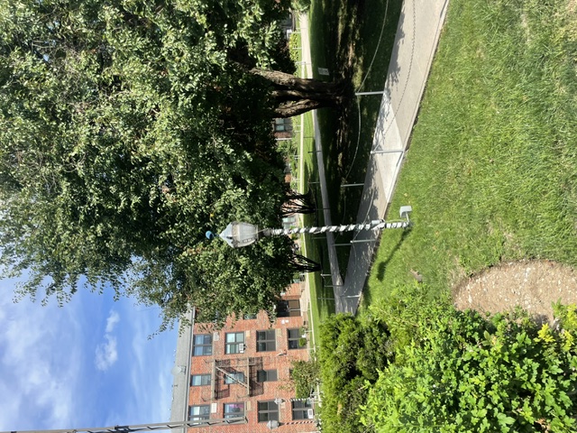 Home - 1011 East 108 Street 3d, Brooklyn, NY 11236